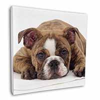 Bulldog Square Canvas 12"x12" Wall Art Picture Print