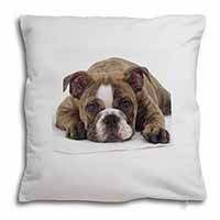 Bulldog Soft White Velvet Feel Scatter Cushion