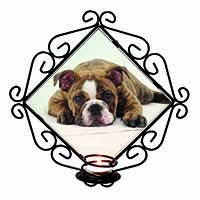 Bulldog Wrought Iron Wall Art Candle Holder