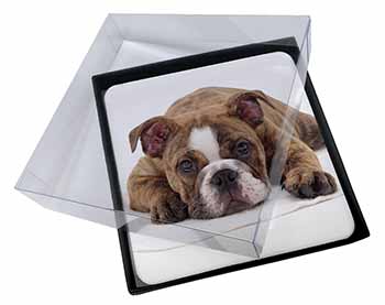 4x Bulldog Picture Table Coasters Set in Gift Box