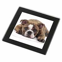 Bulldog Black Rim High Quality Glass Coaster