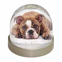 Bulldog Snow Globe Photo Waterball