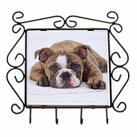 Bulldog Wrought Iron Key Holder Hooks