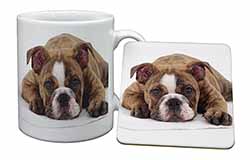 Bulldog Mug and Coaster Set