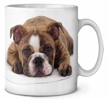 Bulldog Ceramic Coffee Mug/Tea Cup