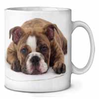 Bulldog Ceramic 10oz Coffee Mug/Tea Cup