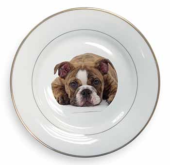 Bulldog Gold Rim Plate Printed Full Colour in Gift Box