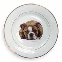 Bulldog Gold Rim Plate Printed Full Colour in Gift Box