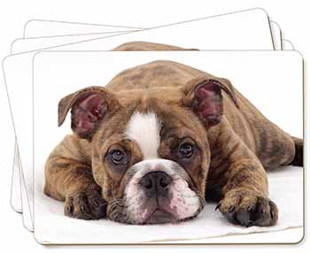 Bulldog Picture Placemats in Gift Box
