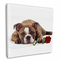 Bulldog with Red Rose Square Canvas 12"x12" Wall Art Picture Print