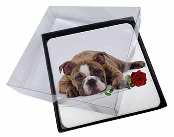 4x Bulldog with Red Rose Picture Table Coasters Set in Gift Box