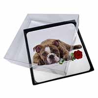 4x Bulldog with Red Rose Picture Table Coasters Set in Gift Box