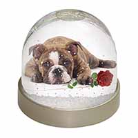 Bulldog with Red Rose Snow Globe Photo Waterball
