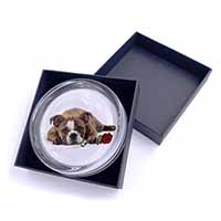 Bulldog with Red Rose Glass Paperweight in Gift Box
