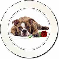 Bulldog with Red Rose Car or Van Permit Holder/Tax Disc Holder