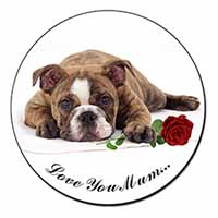 Bulldog+Rose 