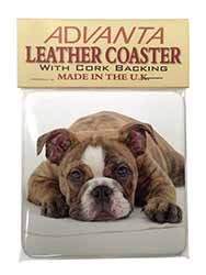 Bulldog Single Leather Photo Coaster