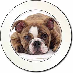 Bulldog Car or Van Permit Holder/Tax Disc Holder