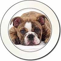 Bulldog Car or Van Permit Holder/Tax Disc Holder