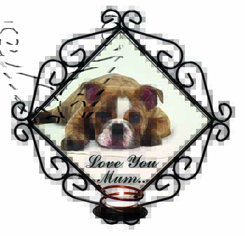 Brindle Bulldog 