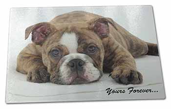 Large Glass Cutting Chopping Board Brindle Bulldog 