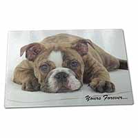 Large Glass Cutting Chopping Board Brindle Bulldog 