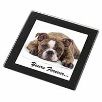 Brindle Bulldog 