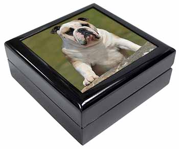 A Cute Bulldog Dog Keepsake/Jewellery Box