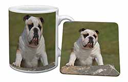 A Cute Bulldog Dog Mug and Coaster Set