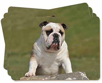 A Cute Bulldog Dog Picture Placemats in Gift Box