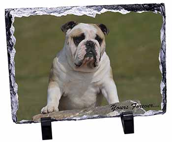 A Proud Bulldog "Yours Forever...", Stunning Photo Slate