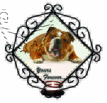 Bulldog 