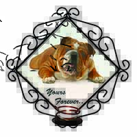 Bulldog 