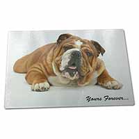 Large Glass Cutting Chopping Board Bulldog 