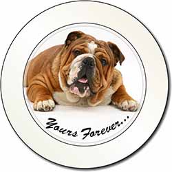 Bulldog 