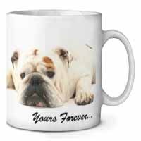 White Bulldog 