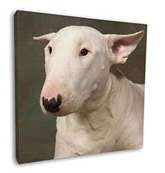 Bull Terrier Dog Square Canvas 12"x12" Wall Art Picture Print