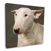 Bull Terrier Dog Square Canvas 12"x12" Wall Art Picture Print