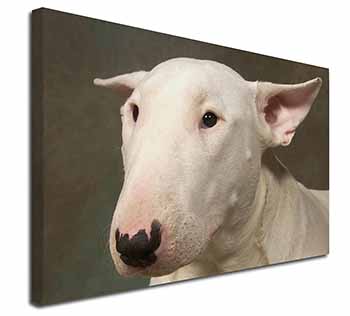 Bull Terrier Dog Canvas X-Large 30"x20" Wall Art Print