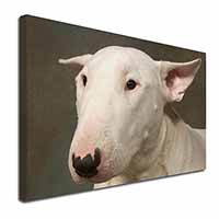 Bull Terrier Dog Canvas X-Large 30"x20" Wall Art Print