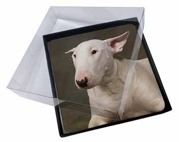 4x Bull Terrier Dog Picture Table Coasters Set in Gift Box