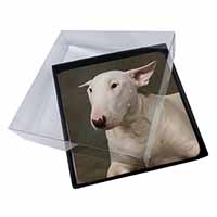 4x Bull Terrier Dog Picture Table Coasters Set in Gift Box