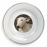 Bull Terrier Dog Gold Rim Plate Printed Full Colour in Gift Box