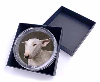 Bull Terrier Dog Glass Paperweight in Gift Box