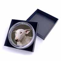 Bull Terrier Dog Glass Paperweight in Gift Box