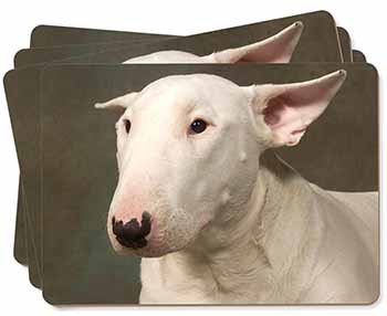 Bull Terrier Dog Picture Placemats in Gift Box