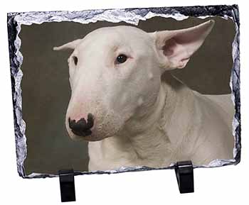 Bull Terrier Dog, Stunning Photo Slate