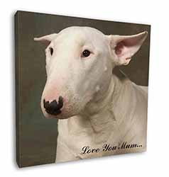 White Bull Terrier 