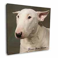 White Bull Terrier 