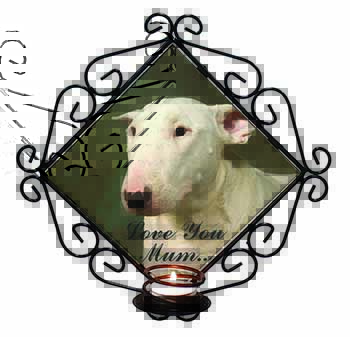 White Bull Terrier 